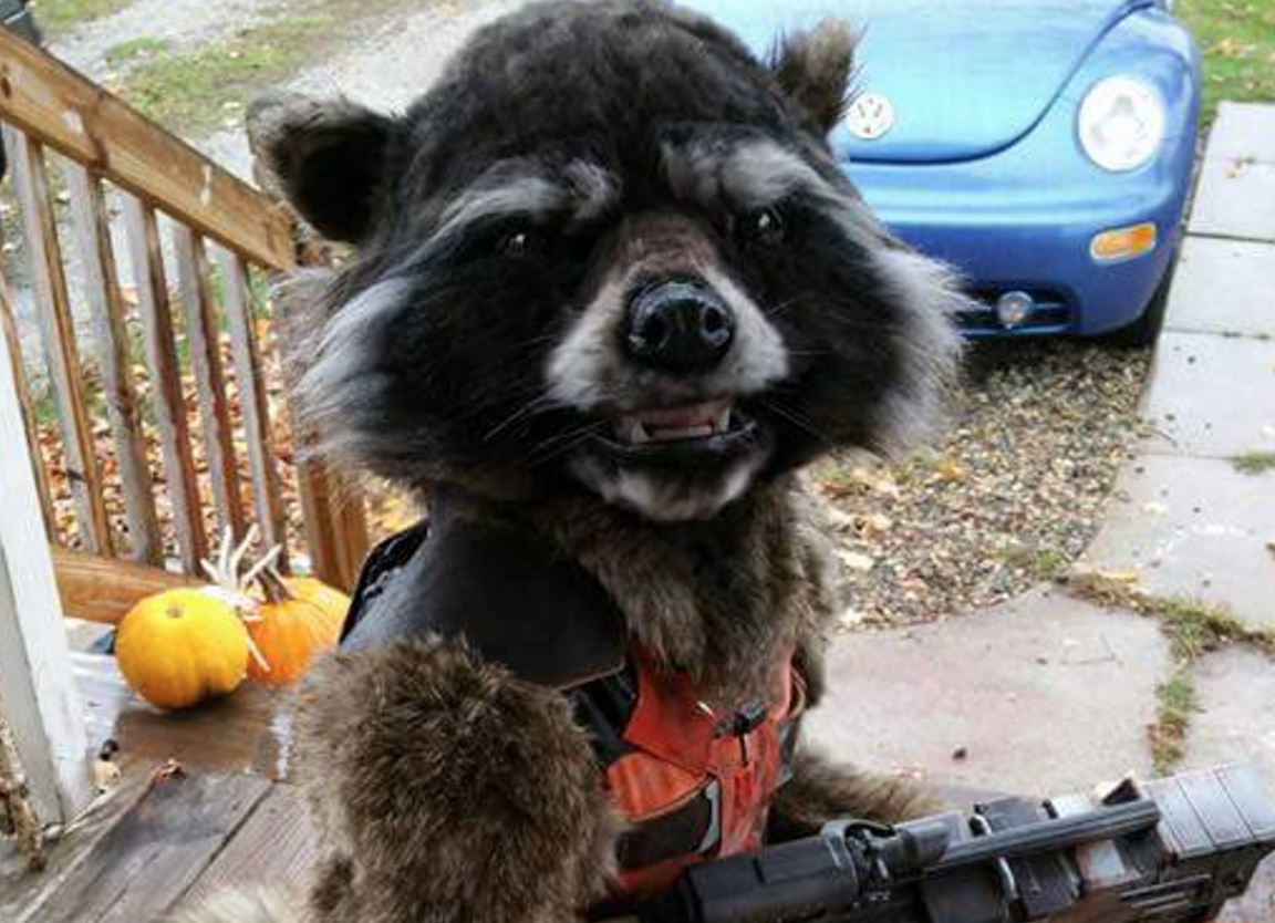 Mom Makes Her Son A Hollywood-Worthy Rocket Raccoon Costume ow.ly/Uc6aG #GOTG #Cosplay