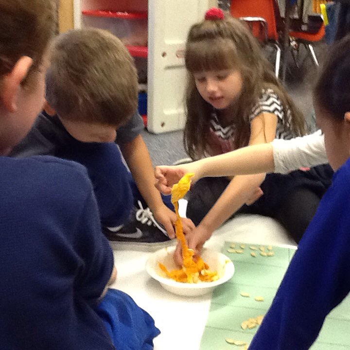 SS_Gr1's tweet photo. Counting pumpkin seeds. https://t.co/K2dlRD7NPH