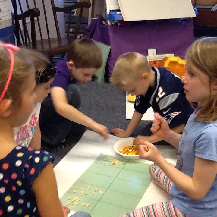 SS_Gr1's tweet photo. Counting pumpkin seeds. https://t.co/K2dlRD7NPH