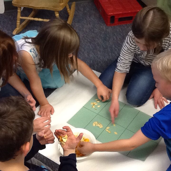 SS_Gr1's tweet photo. Counting pumpkin seeds. https://t.co/K2dlRD7NPH