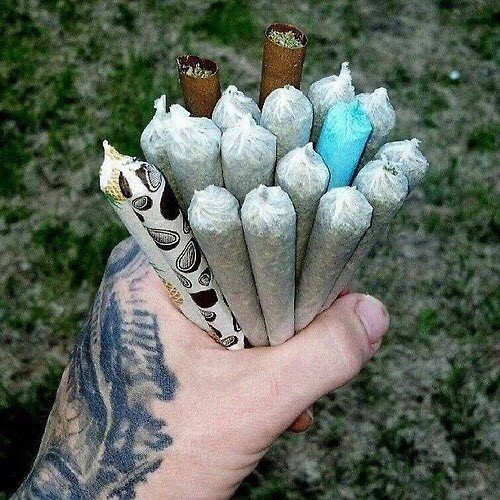 LearnMarijuana's tweet photo. I may not be perfect but my rolling skills are https://t.co/oBYHr2JSs3