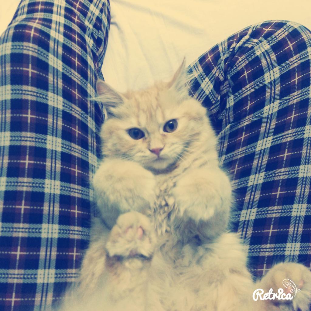 NadaSalah1411's tweet photo. #playing_time https://t.co/CuBYPmqEG1