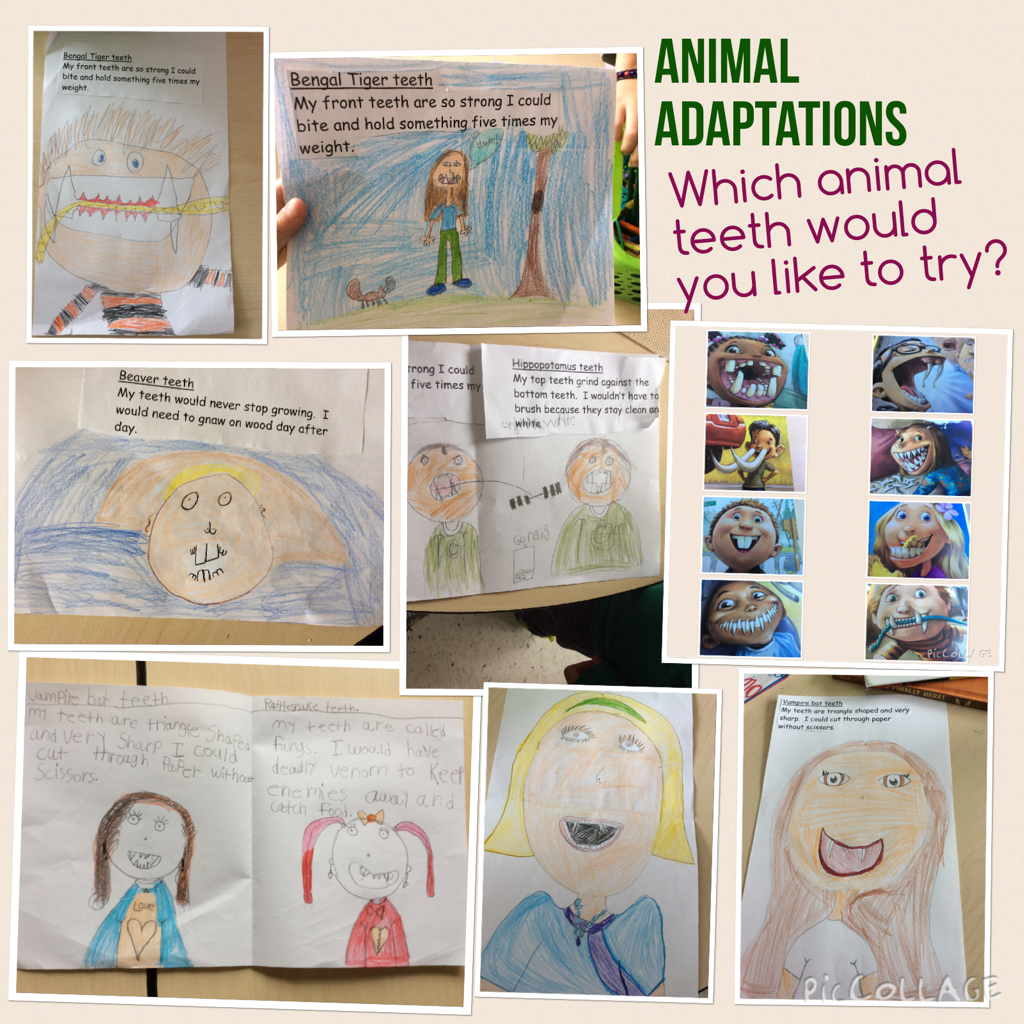 Ryan Faris tweet media