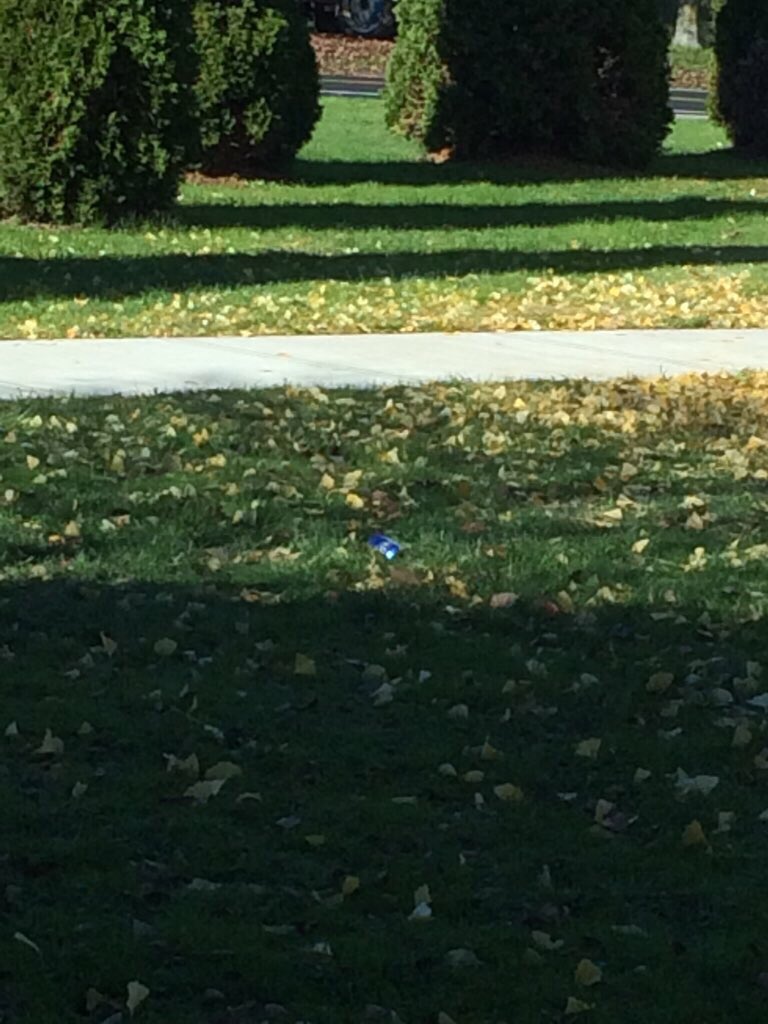 Section3Confess's tweet photo. "Where there's a bud light can in the front lawn of the school" #PhoenixHS https://t.co/LudL6SsmZn