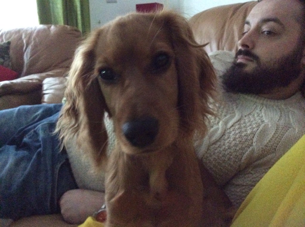 PrincessRezbold's tweet photo. If only she was as sweet as she looks! Hmmmmmmmmmmmmmmmmmmmmmmmm more chewing today https://t.co/PGeAfm1O6J