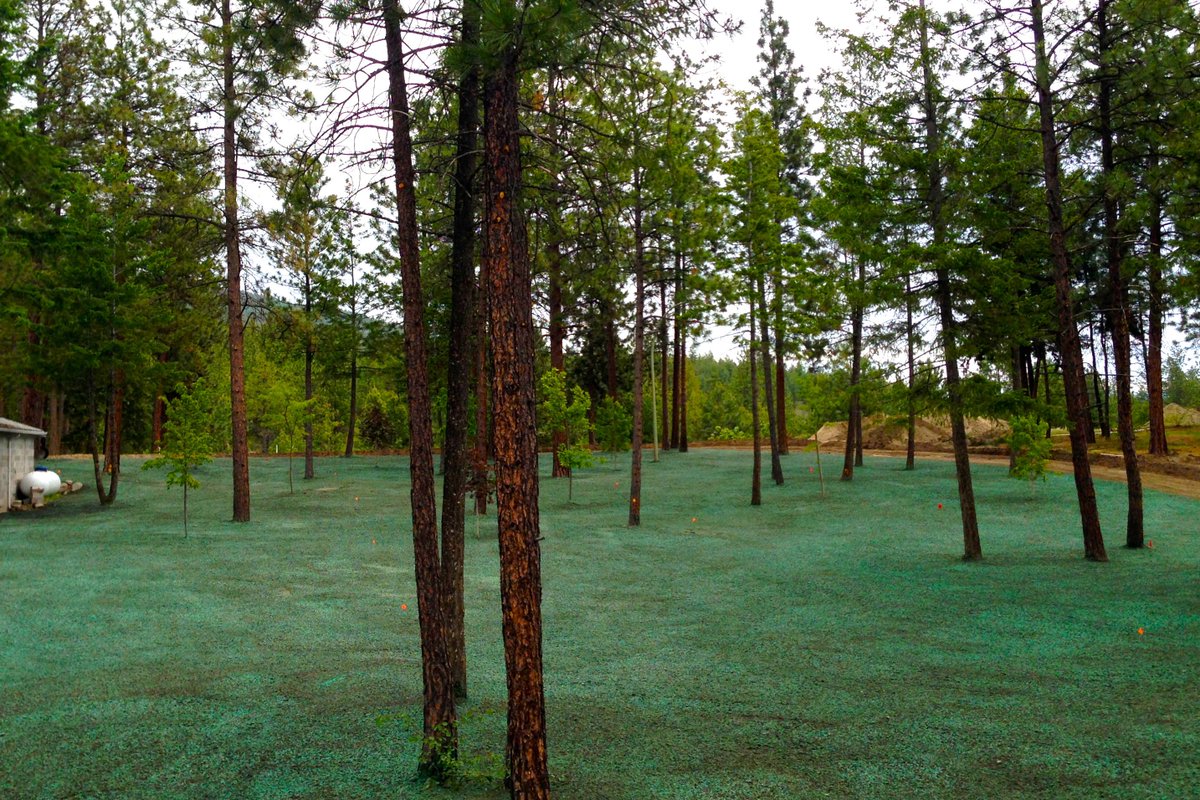 McFarlaneConLtd's tweet photo. #McFarlaneContracting #beforeandafter #hydroseeding #hydroseeder #hydroseed #Kelowna #Okanagan https://t.co/UIw4xXFa6f