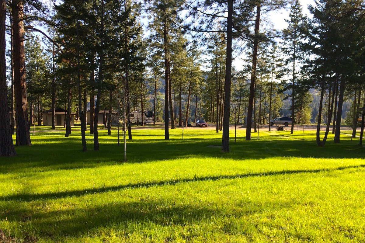 McFarlaneConLtd's tweet photo. #McFarlaneContracting #beforeandafter #hydroseeding #hydroseeder #hydroseed #Kelowna #Okanagan https://t.co/UIw4xXFa6f
