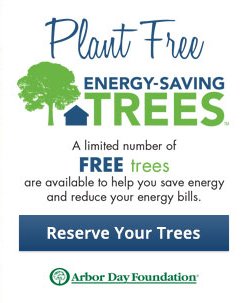 DallasParkRec's tweet photo. Celebrate #ArborDayDallas with us @arborday @oncor by planting a tree
We'll even give u one https://t.co/VFr9shxNmf https://t.co/LVnVLxeUIG