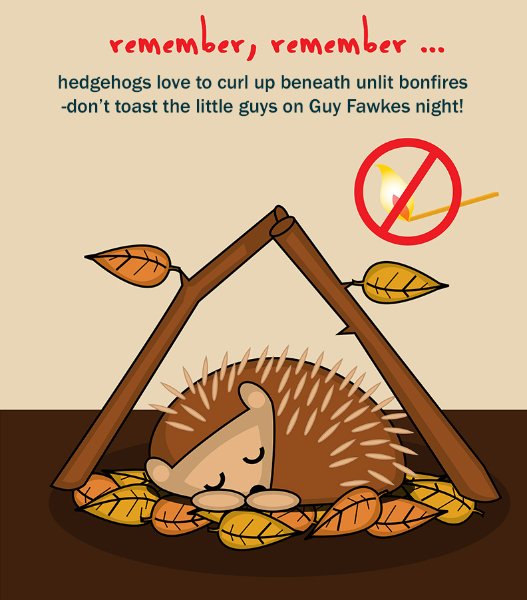 PynchonInPublic's tweet photo. Please RT if you are having bonfires in your area, or know people who are. #hedeghogs https://t.co/VtmYVNtyz9