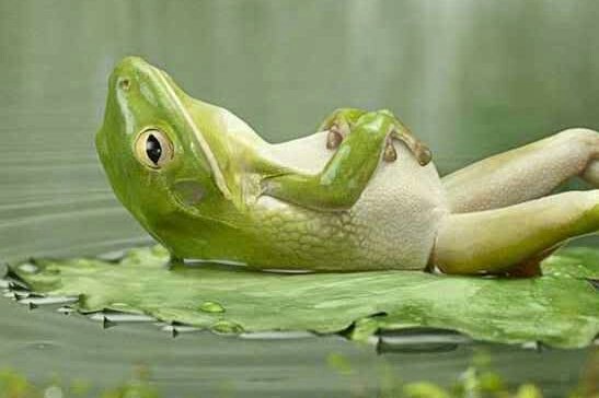 There will always be something you need to be working on.  Set a cutoff point, relax, &amp; enjoy the moment.