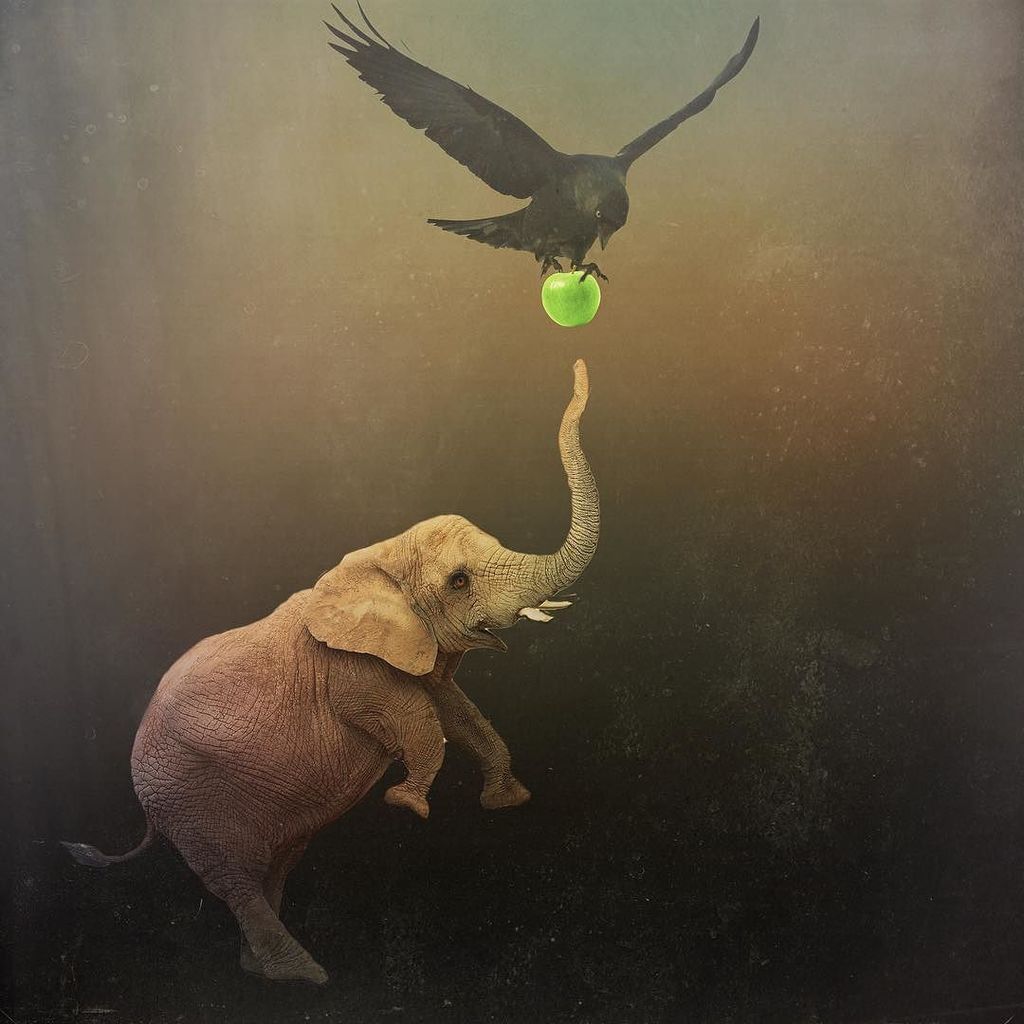 josiester's tweet photo. Friends #unionapp #mextures #mectures_app #jj_mextures #rsa_ladies #rsa_graphics #rsa_main… https://t.co/DVIAIpBIF2 https://t.co/JK7XoFMuVg