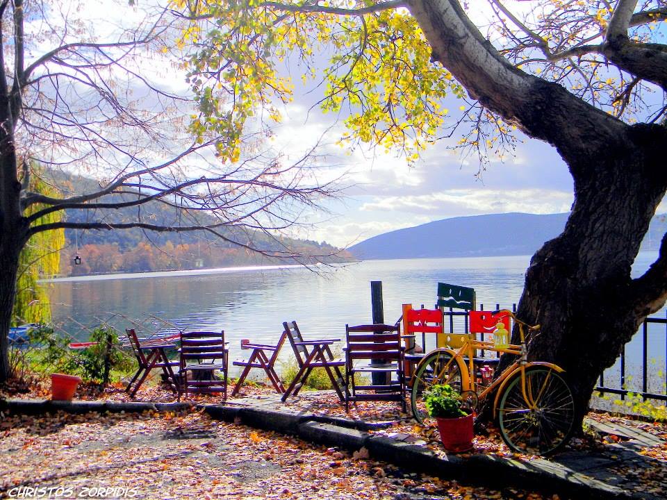 Greek highlights tweet media