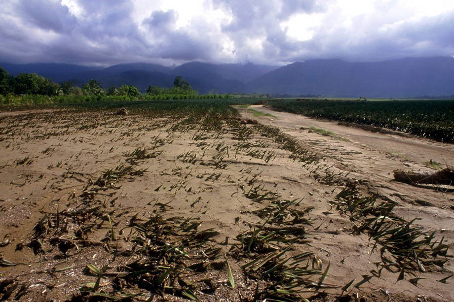 Climate change poses ‘major threat’ to food security, warns <a href="/UN/">United Nations</a> expert bit.ly/1MaBdi8 <a href="/UNFCCC/">UN Climate Change</a> #COP21