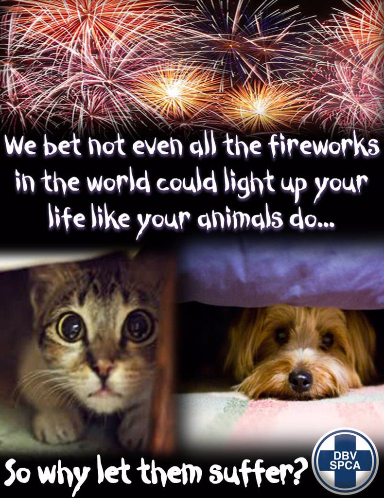 SafeHandsPetSit's tweet photo. remember remember pets on the 5th of November.  For their sake just the 5th or never.
#fireworks #petshatefireworks https://t.co/2c6WbwR5NO
