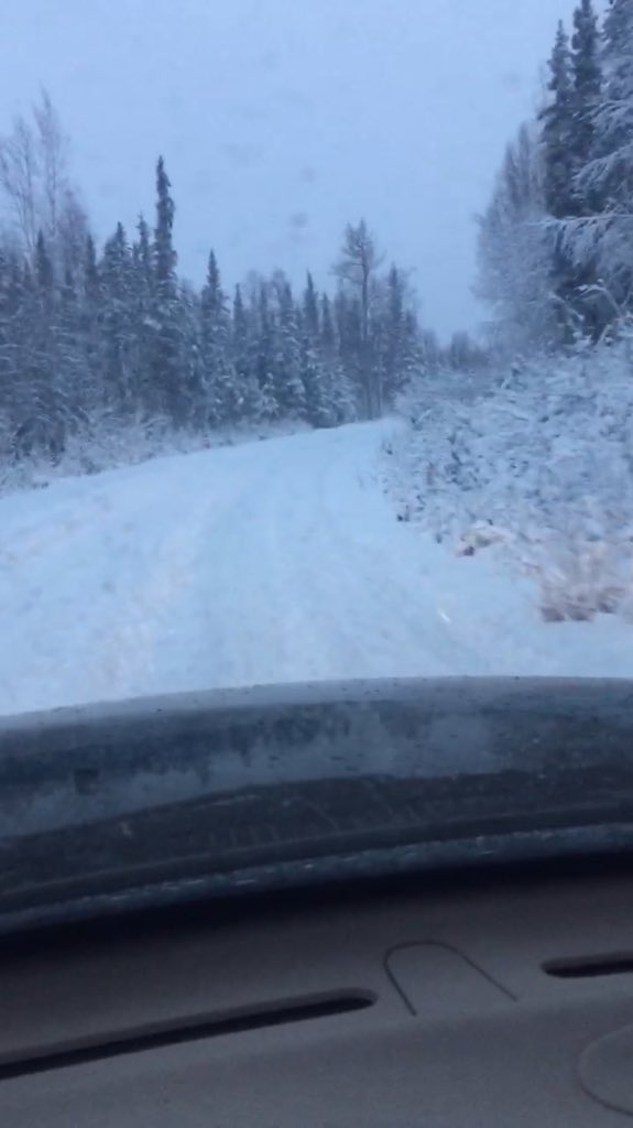 thedoogs19's tweet image. Enough rain... Where's the snow Utah? #Alaska&amp;gt;Utah