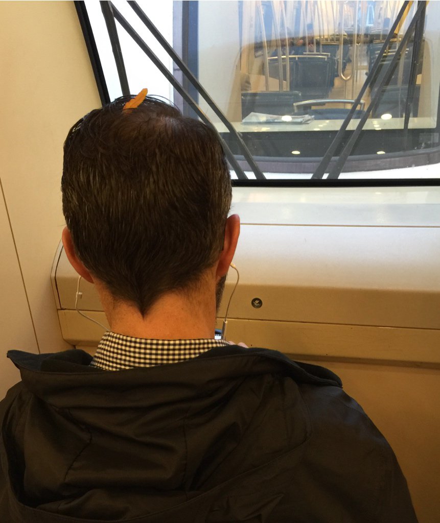 PPLofYVR's tweet photo. Leaves are falling… on #skytrain passenger heads. #peopleofvancouver #yvr https://t.co/Gxem19Zoo6