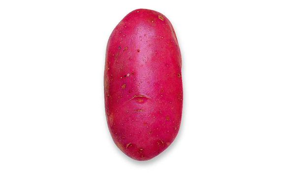 HDM_OFF's tweet image. RT pour une pomme de terre 

LIKE pour @AfidaTurner ♥ #FavGate