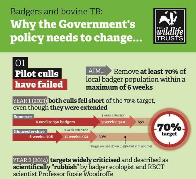 The Wildlife Trusts tweet media