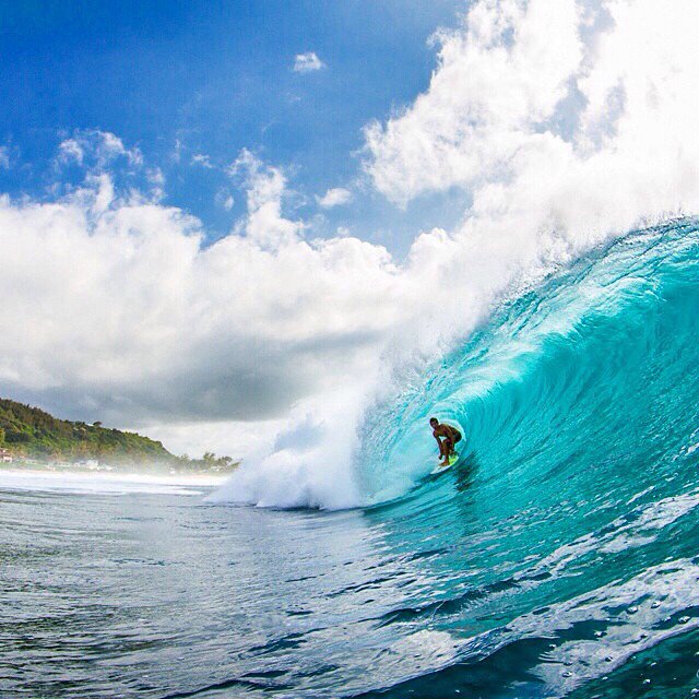 swelldotcom's tweet photo. #RVCA advocate @kalanidavid taking on the Pipe last May. #FirstInSurf 📷: Jake Marote https://t.co/D0vZcfZm0Q https://t.co/BR5xhG4kVw