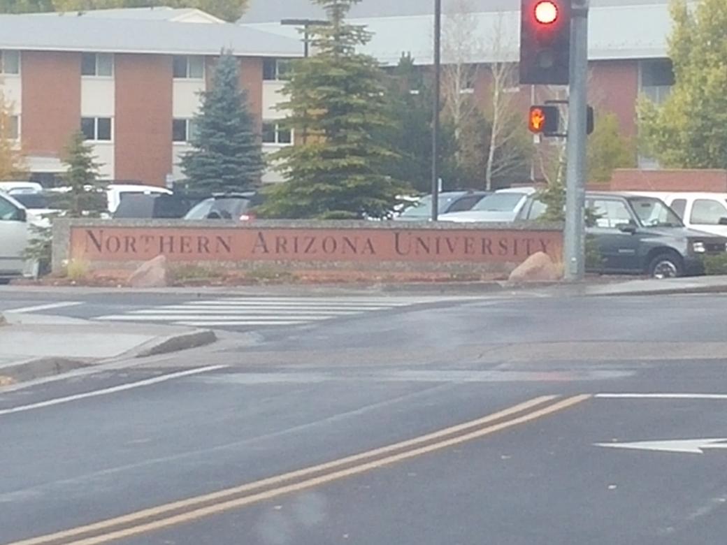 Bryan Turski tweet media