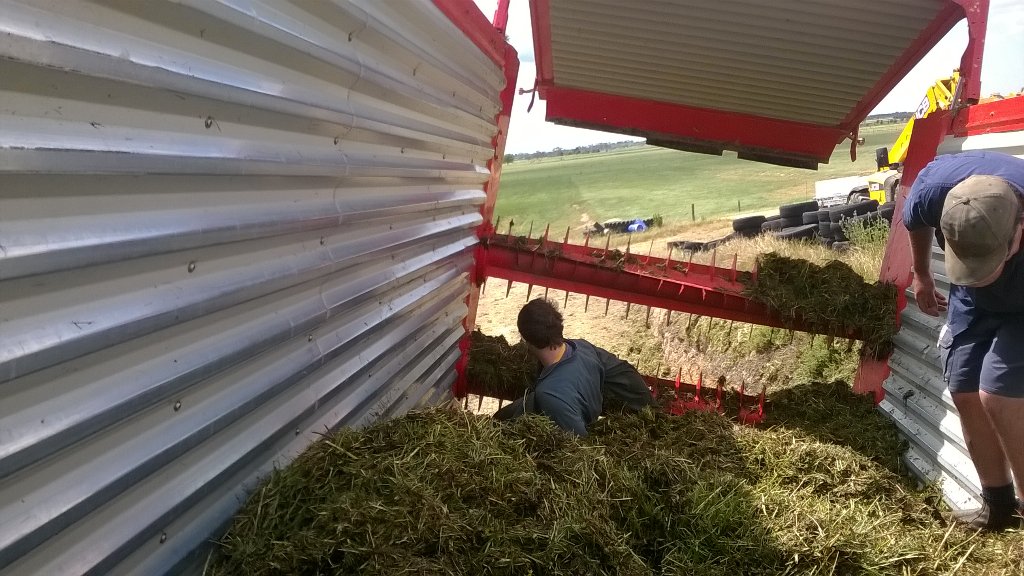 jd0054's tweet photo. It was a fun Cup day long weekend out at Tinamba #silage15 #ausdairy https://t.co/U7ZcAcNo9z