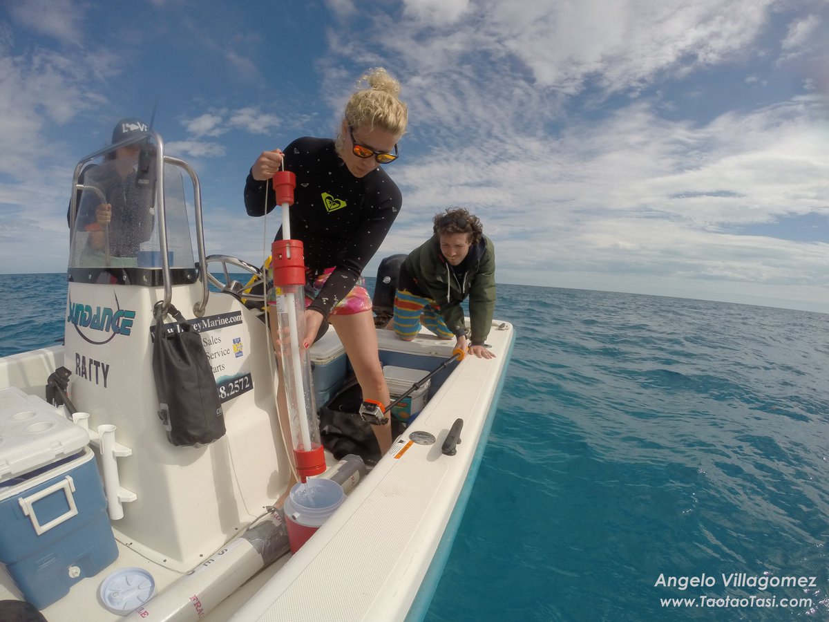 Sharks4Kids's tweet photo. Our NEW blog is about #SharkPoop! Meet scientist @judithbakker2 & learn about her research! https://t.co/vjVd0ESQnt https://t.co/dYfX2llZS5