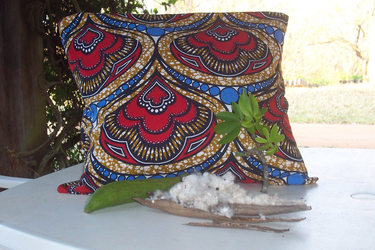 AfricanConserve's tweet photo. #CAPULANA #CUSHIONS AND #KAPOK TREES IN THE #NHAMACOA, Mozambique https://t.co/csgcR1qrt8 https://t.co/bMrcB6oEUY