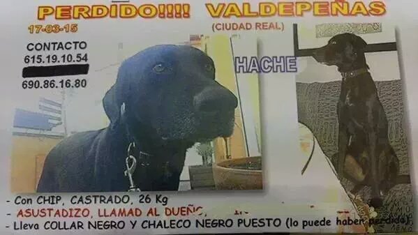 Nines35gm's tweet photo. 232 DIAS SIN EL.. DONDE ESTA? PUEDE ESTAR EN CUALQUIERA SITIO DE ESPAÑA
#PERDIDO EN#VALDEPEÑAS(C.REAL) AYUDANOS XFV! https://t.co/weNbd26Ss6