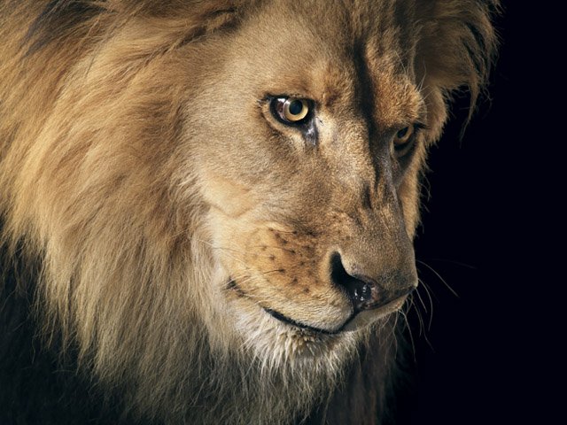 goodenough03 tweet picture