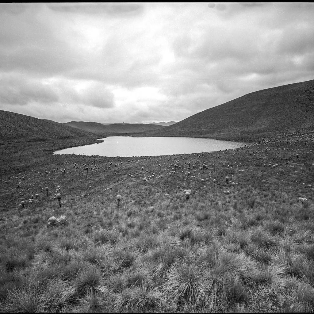favian142's tweet photo. Lake Enchanted. #losnevados #colombia #tmax100 #kodak #mamiya7 #xtol1+1 #adventures #blackandwhitefilm #landscape https://t.co/pIDI3tnGMW