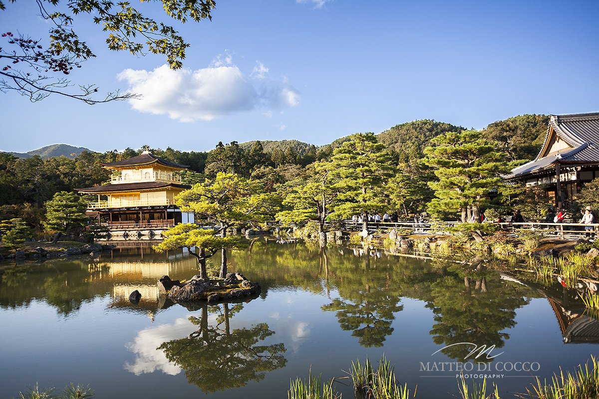 darcula111's tweet photo. #photooftheday #japan #goldentemple #imissyou https://t.co/8J7feaWOpi