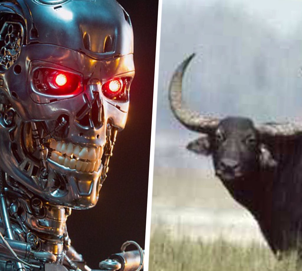 ACARobotics tweet picture