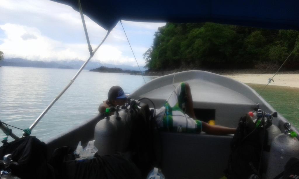 BenTortuga's tweet photo. Another hard days work in #coiba!
#diving #scubacoiba #Sharks https://t.co/v2NNTHZqwa