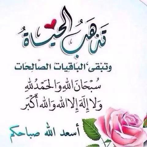 اخبار
اخبار
اخبار
حرام كده انتوا مش بتزهقوا
خبر صغير يتحول الى مقال
اتقوا الله وتأكدوا ولا تزيدوا