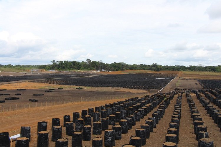 Permalien de l'image intégrée