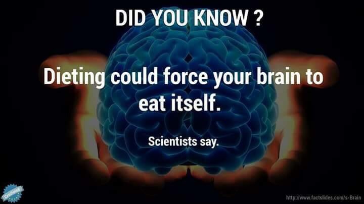McKenzieMiddle's tweet photo. One reason I think I'm smart. https://t.co/CTJQ7krpEp
