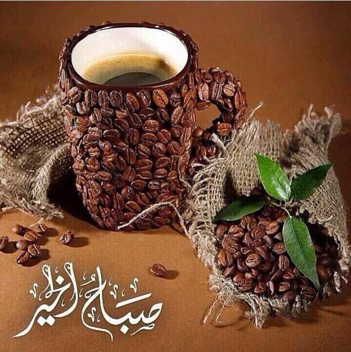 rouky122's tweet photo. اصبحنا وصبح الملك لله https://t.co/gbAJsxUUSY