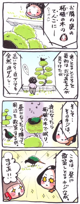 「雉」#漫画 #イラスト #2013年 #雉 #生活習慣 