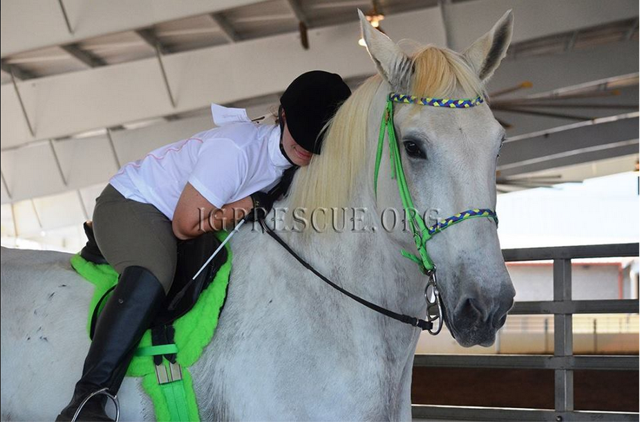 MariaKCalderara's tweet photo. I know its late but #zeus did #amazing at the Perry Ga #drafthorse show https://t.co/Os6kPfmMK6