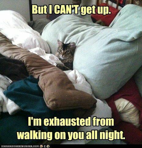 lets_run's tweet image. 