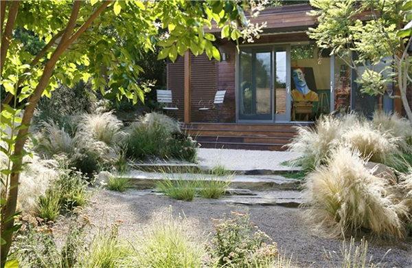 Ornamental Grasses for San Diego Landscapes northparknursery.com/2015/10/orname…