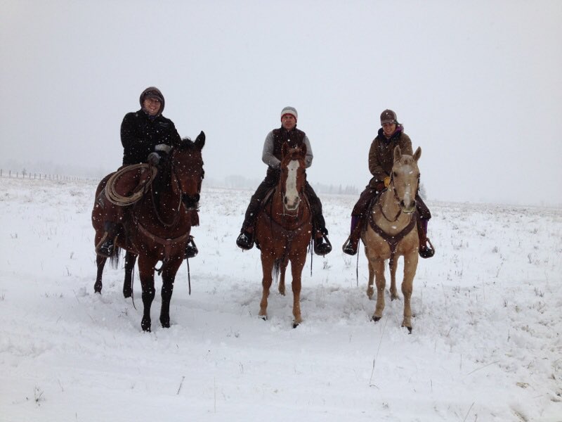 MattKumlin's tweet photo. Snowy day in the foothills to round up cows for preg checking #RanchLife #veterinarian https://t.co/0mxKOTRhxT