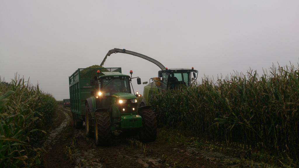 padraig_ocall's tweet photo. The lads enjoying a busy weekend at the maize #maize #silage15 #ocallaghanagri @MichelleMoca83 @Eily06 https://t.co/3BPmci5R7P