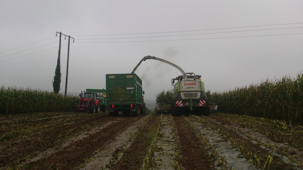 padraig_ocall's tweet photo. The lads enjoying a busy weekend at the maize #maize #silage15 #ocallaghanagri @MichelleMoca83 @Eily06 https://t.co/3BPmci5R7P