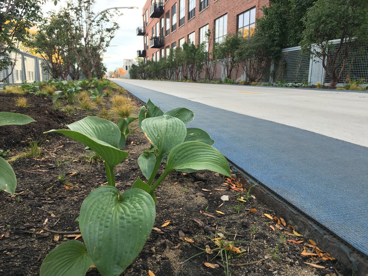The606Chicago's tweet photo. Tell us: how will you #ElevateYourself in the next year? A fitness, career, community or personal goal? #The606 https://t.co/cIqpCzMgU4