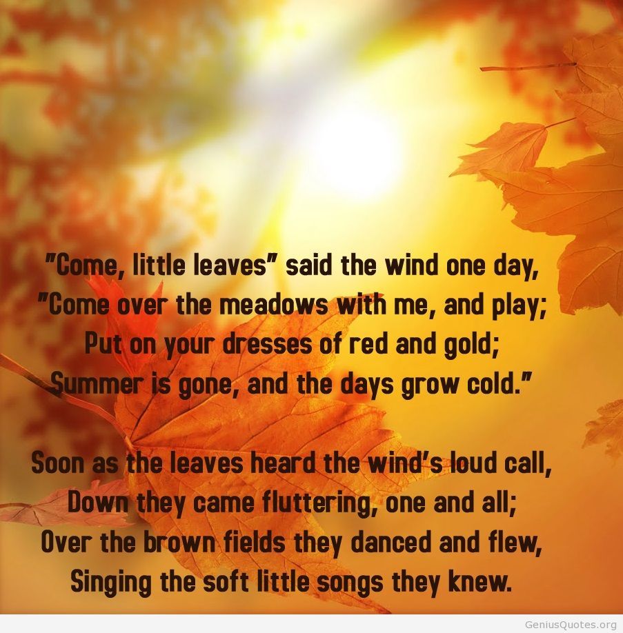 i am a leaf on the wind origin i am a leaf on the wind origin