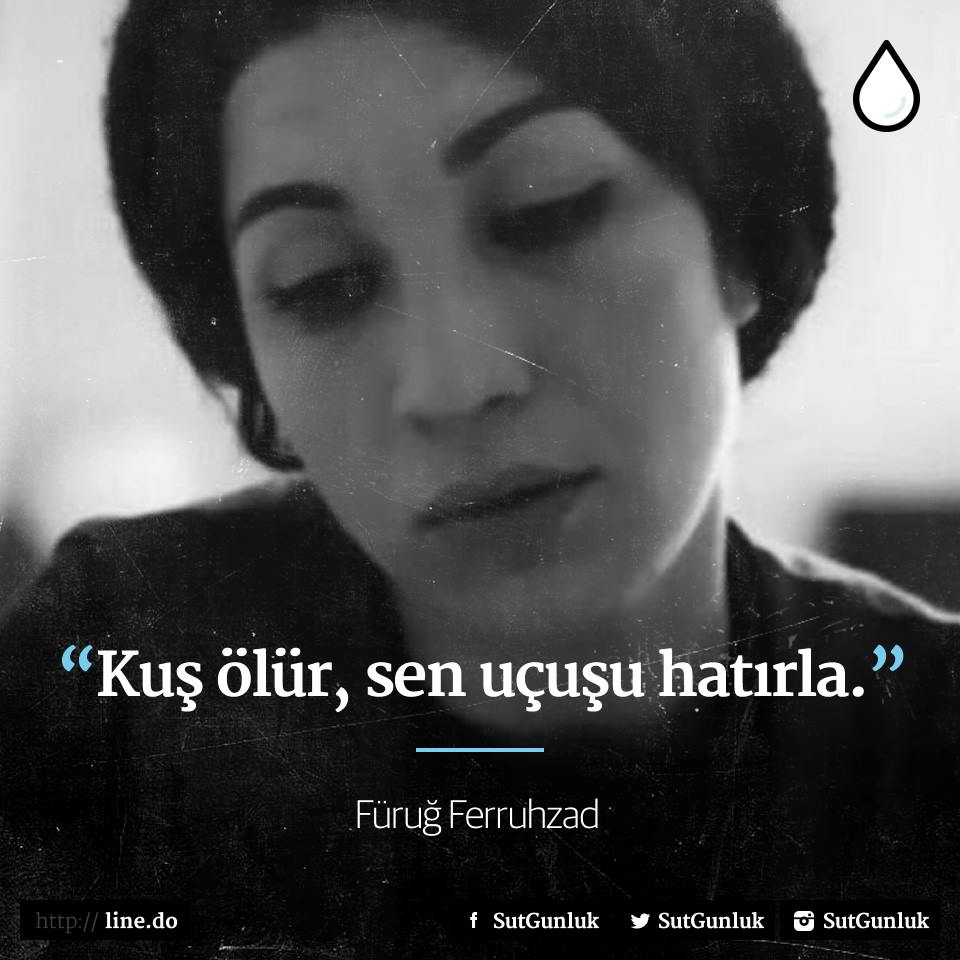 maya_kurumsal's tweet photo. Kuş ölür, https://t.co/ug8ou8vnkk