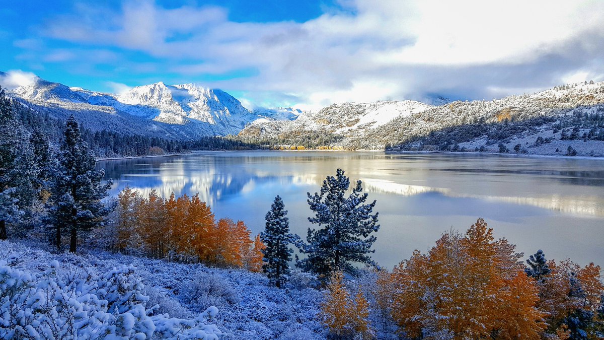 CalifFallColor's tweet photo. #SierraFallColors sing their Swan Song, as snow blankets the Eastern Sierra. https://t.co/UGwFLbGw8c https://t.co/zeiXpjSmt3