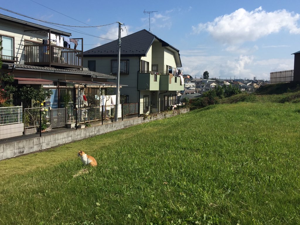 hostguest's tweet photo. https://t.co/haSaEzkrdi