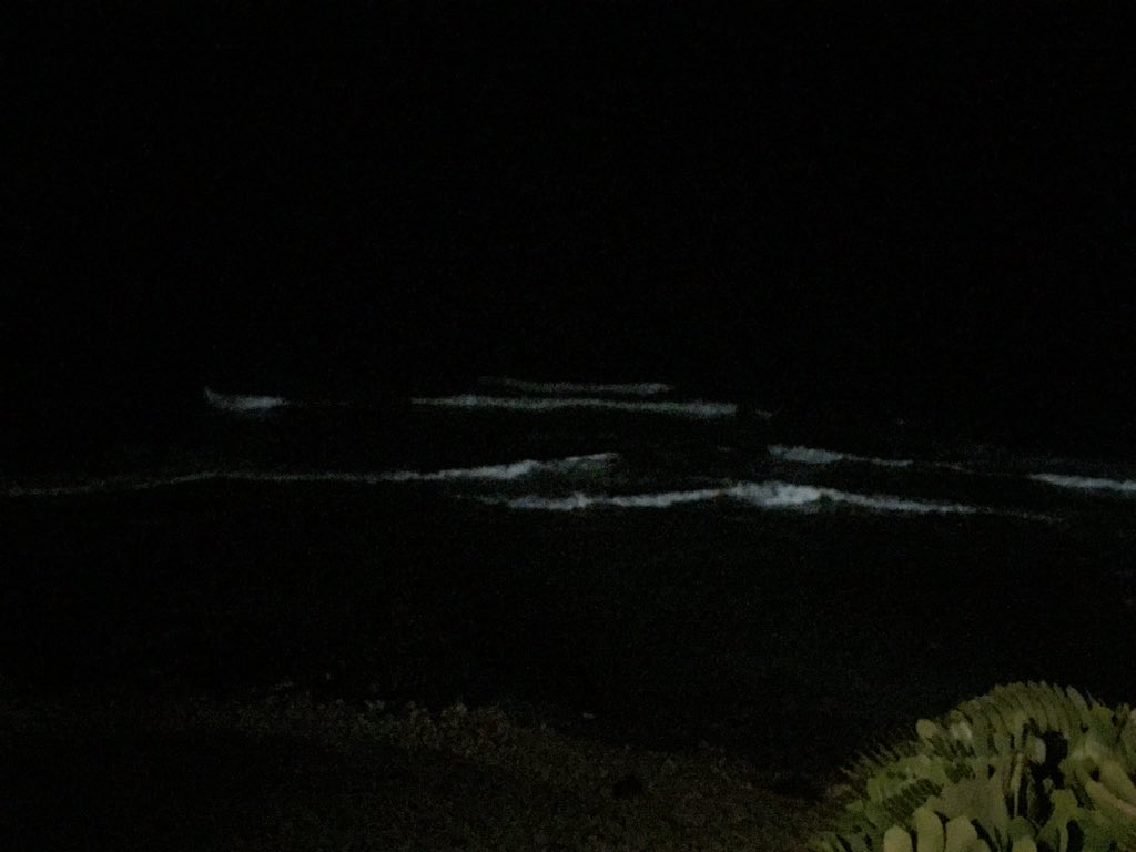 MrsdogC's tweet photo. Birthday Recap thank you for all the cards and birthday wishes here's a quick look at my night #bigisland https://t.co/TpbNQgbpid